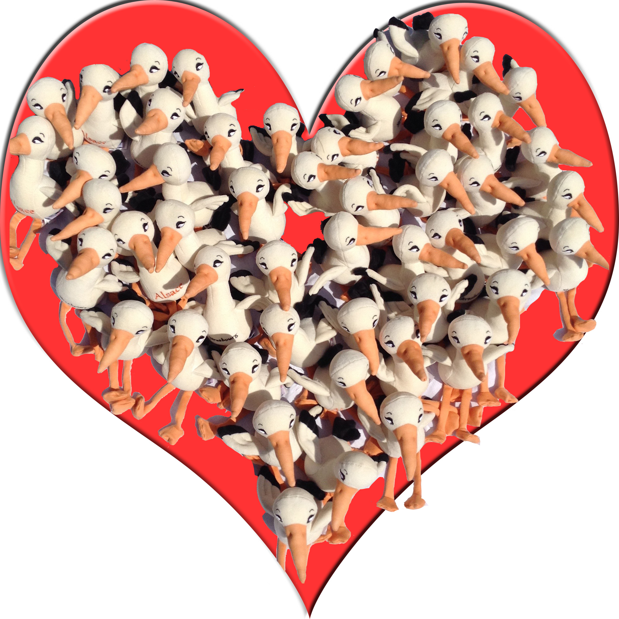 Coeur cigogne