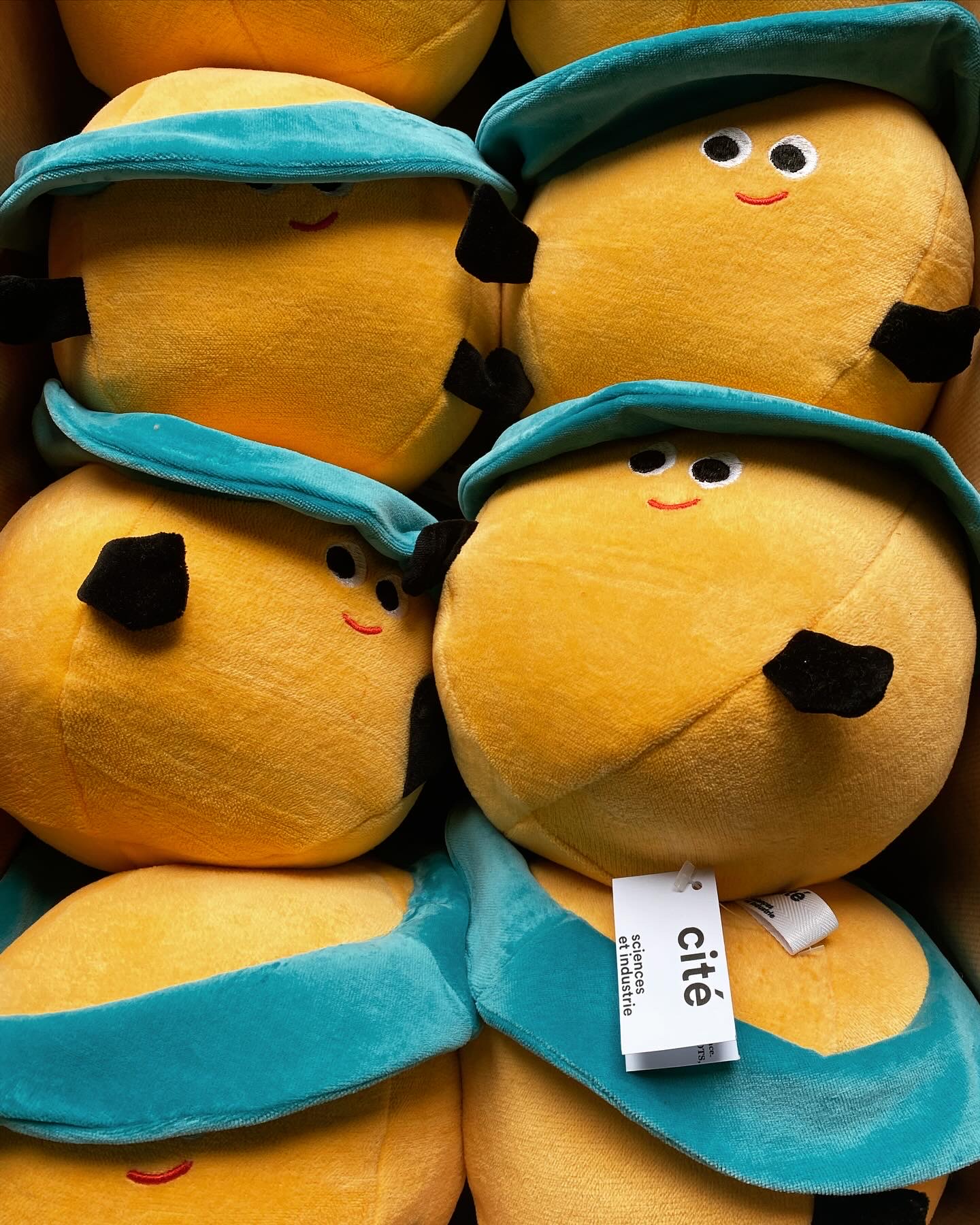 30E7045E-ACAC-49C4-ADA2-B5DA84B652FA